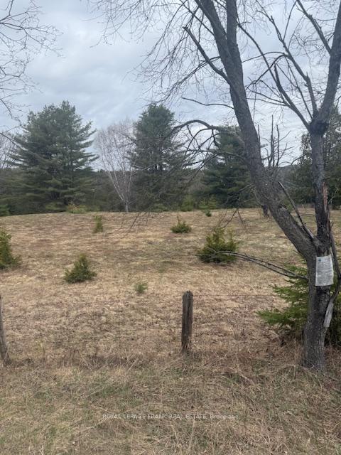 Lot 2 Detlor Road, Bancroft, ON K0L 1C0