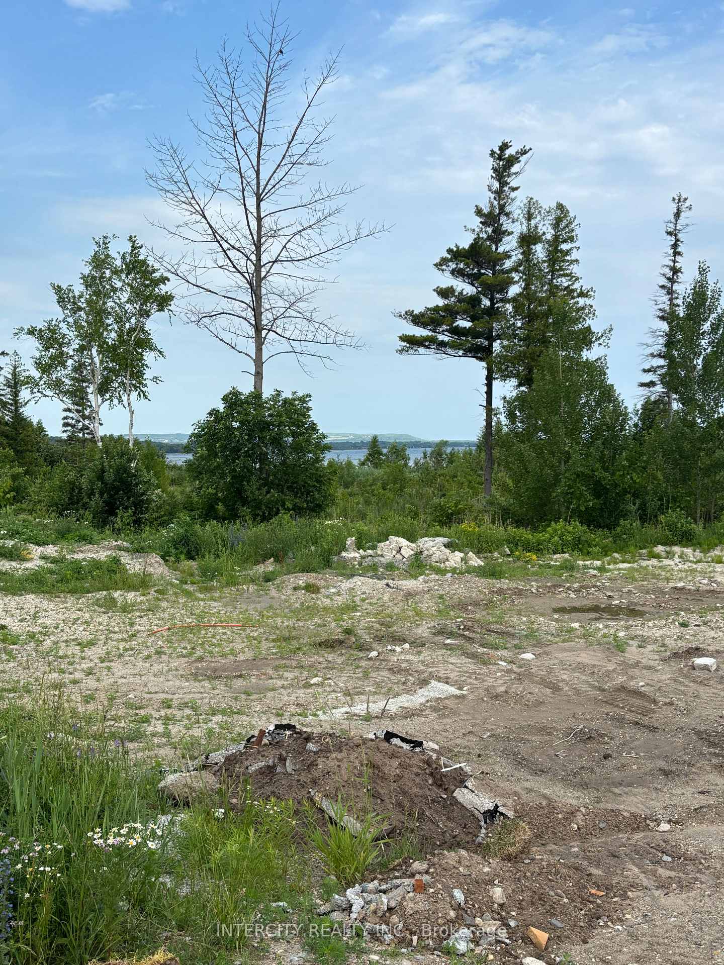 slider-listing