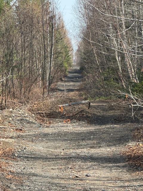 164 Riding Stable Road, West Nipissing — photo 3 of 5
