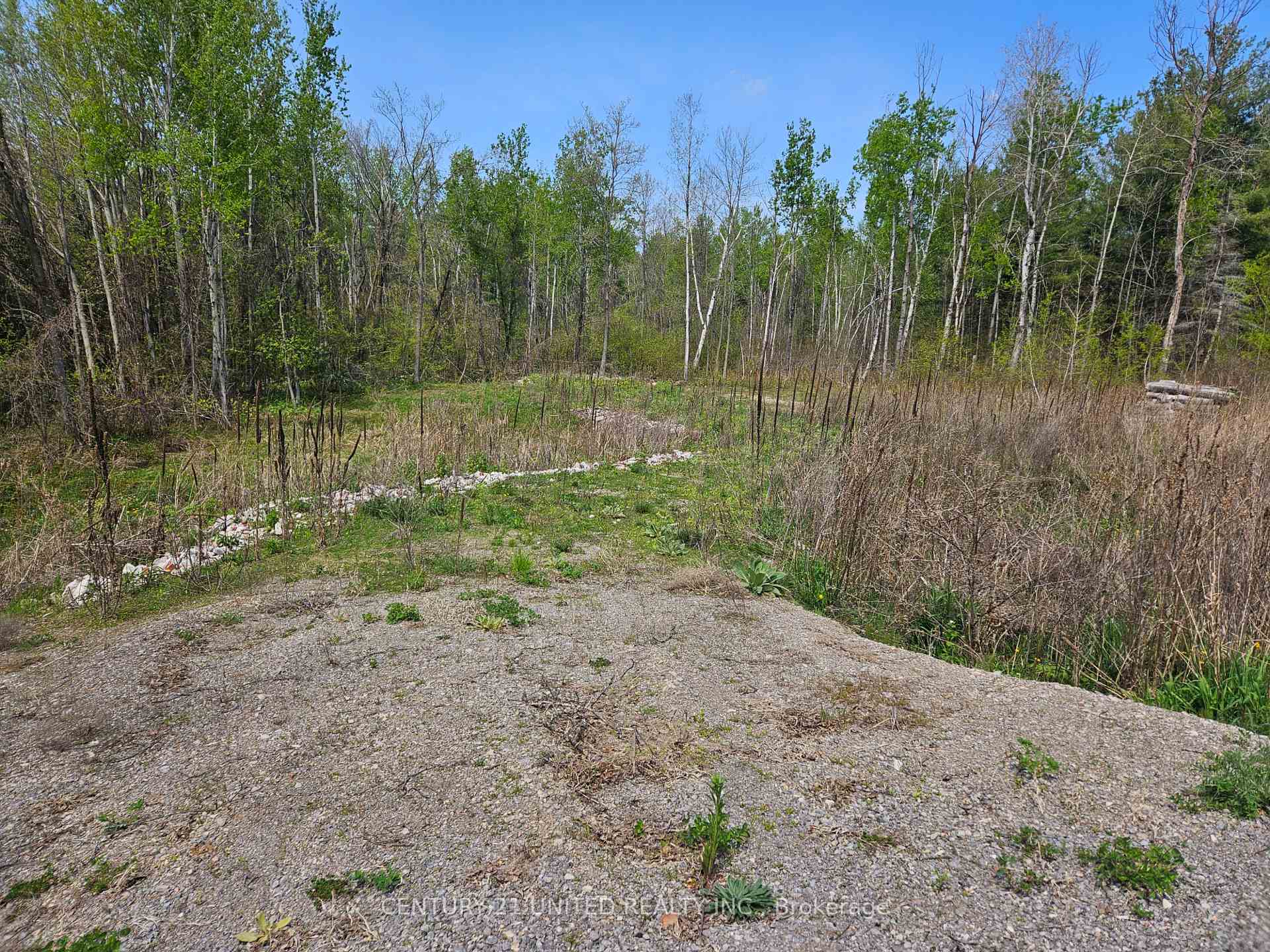 14 Winter Road, Trent Hills, ON K0K 3K0 — Trent Hills, Ontario