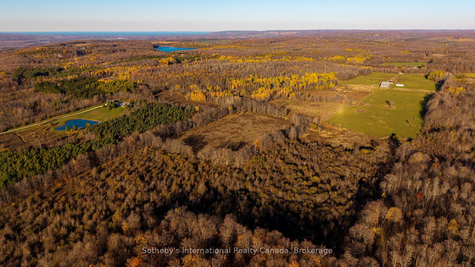 315298 3rd Line A N/A, Grey Highlands — photo 4 of 5