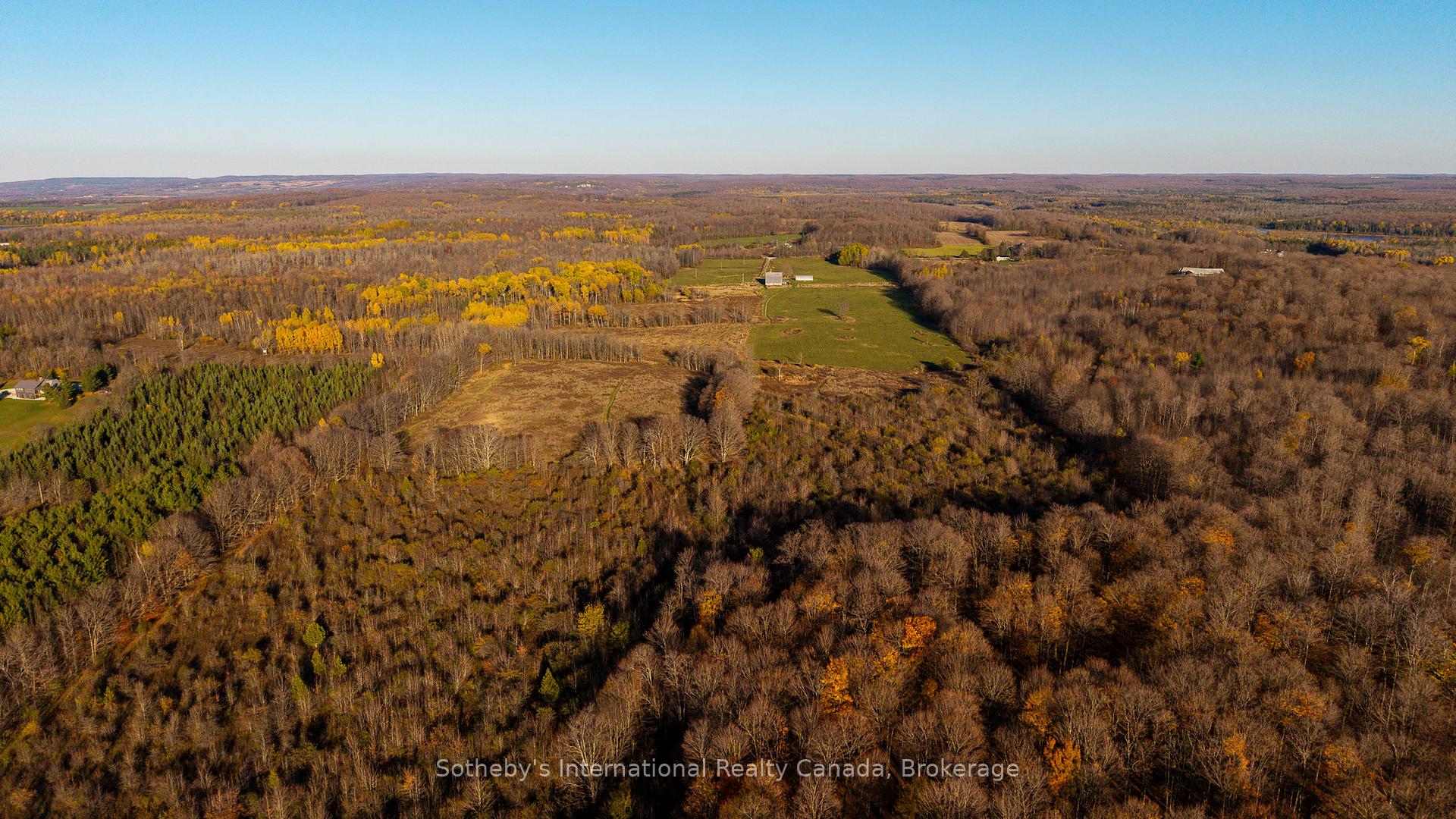 315298 3rd Line A N/A, Grey Highlands — photo 5 of 5