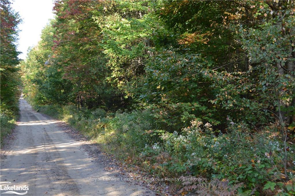 LOT 20 CONCESSION 5 Road, Huntsville, ON P1H 2J3 — Huntsville, Ontario