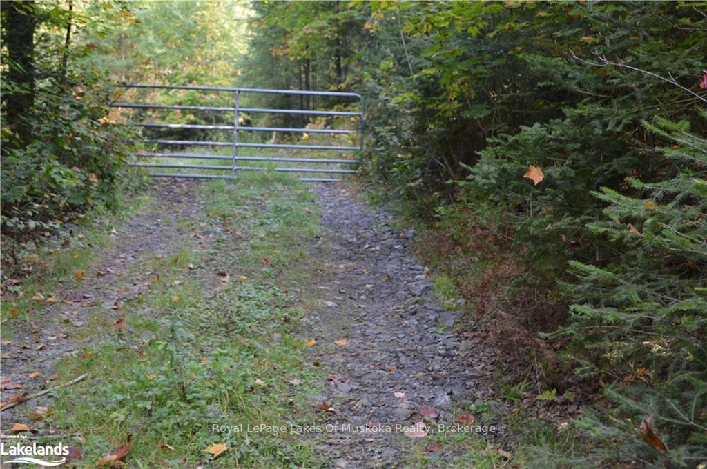 LOT 20 CONCESSION 5 Road, Huntsville — photo 2 of 5