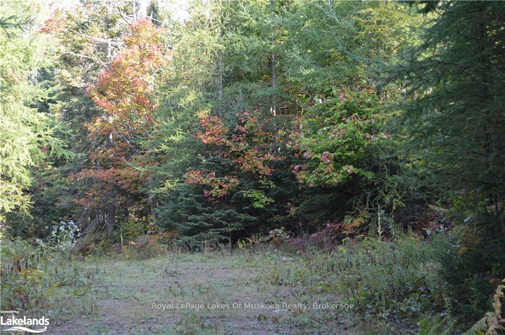 LOT 20 CONCESSION 5 Road, Huntsville — photo 3 of 5