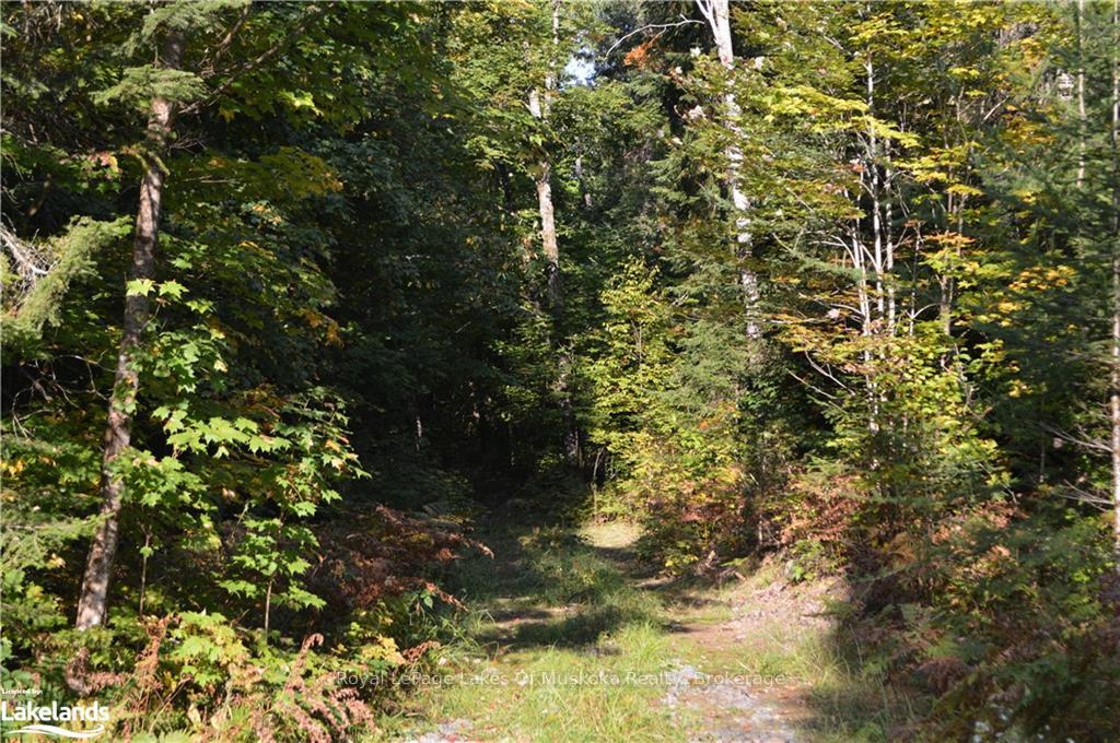 LOT 20 CONCESSION 5 Road, Huntsville — photo 4 of 5