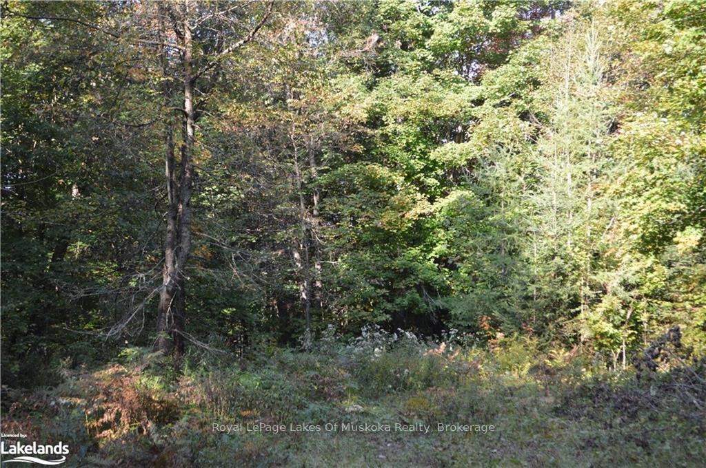 LOT 20 CONCESSION 5 Road, Huntsville — photo 5 of 5