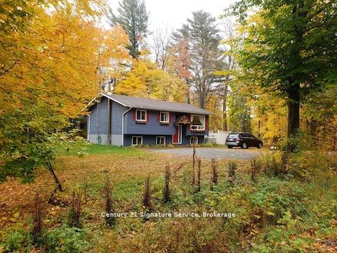 879 Stephenson Road E, Huntsville, ON P0B 1L0 — Huntsville, Ontario