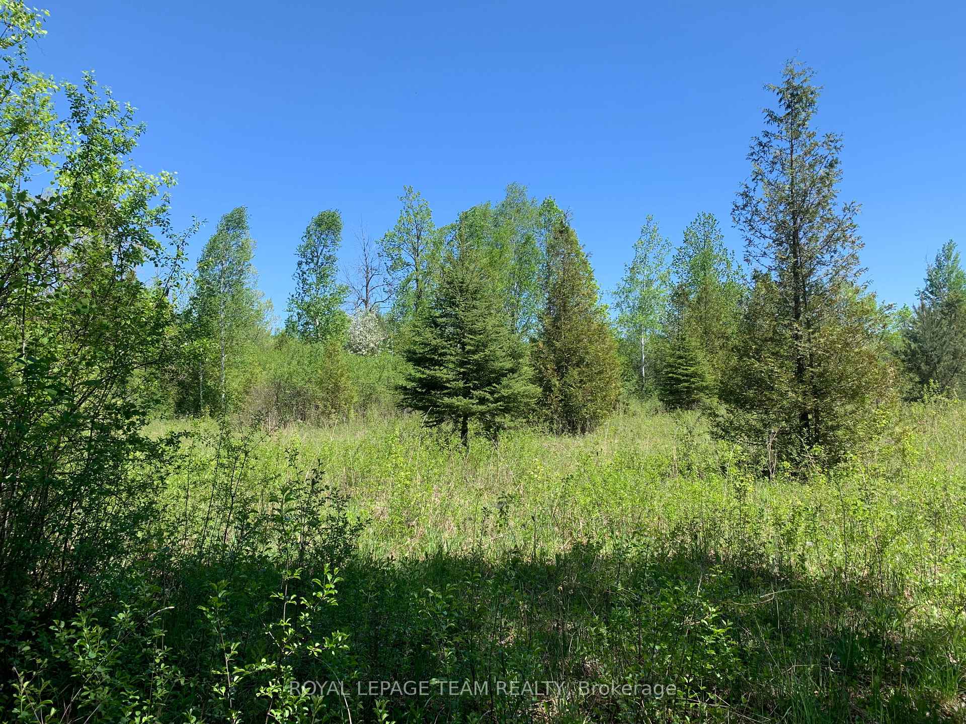 00 Bolton Road, Merrickville-Wolford — photo 4 of 5