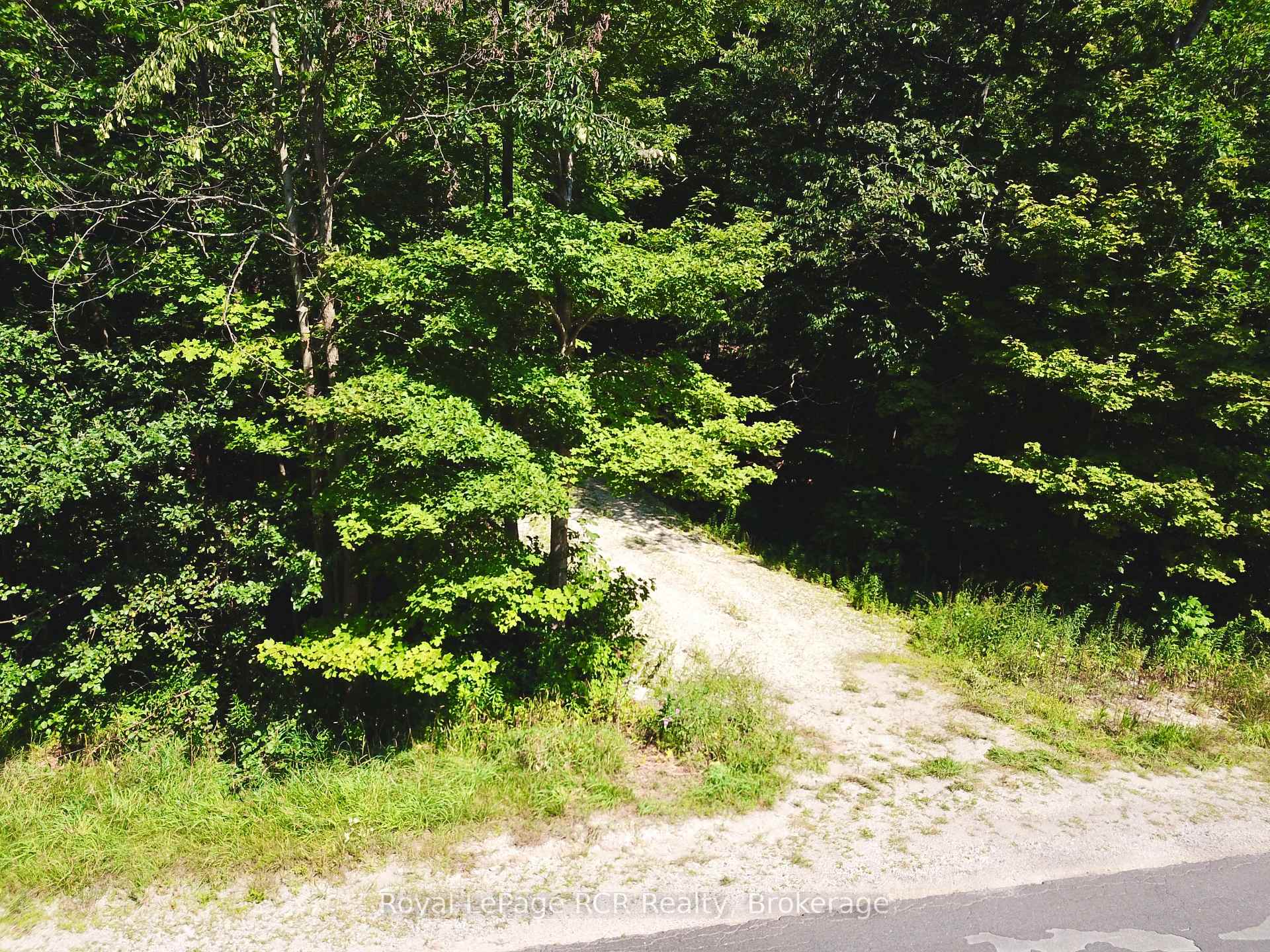 PT LT 6 Bruce Road 9 Road, Northern Bruce Peninsula — photo 3 of 5