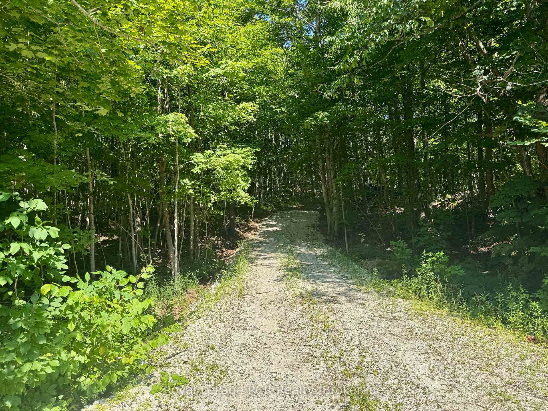 PT LT 6 Bruce Road 9 Road, Northern Bruce Peninsula — photo 5 of 5