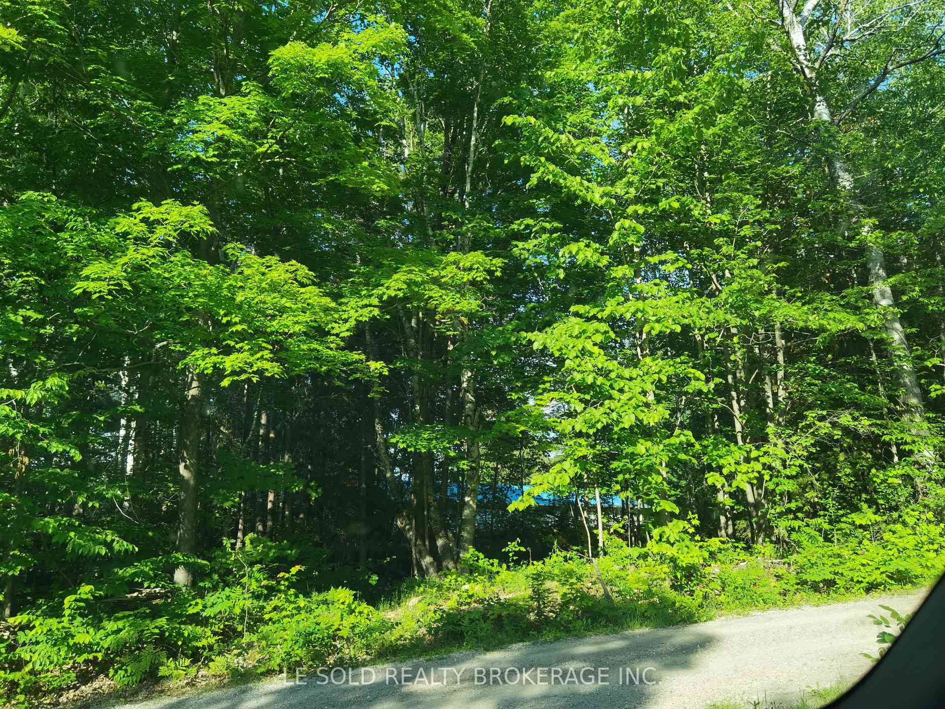 97 Tranquility Bay Drive C, Bonnechere Valley — photo 4 of 5