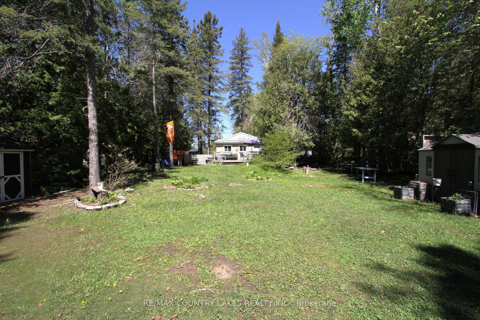 77 McGuire Beach Road, Kawartha Lakes — photo 5 of 5