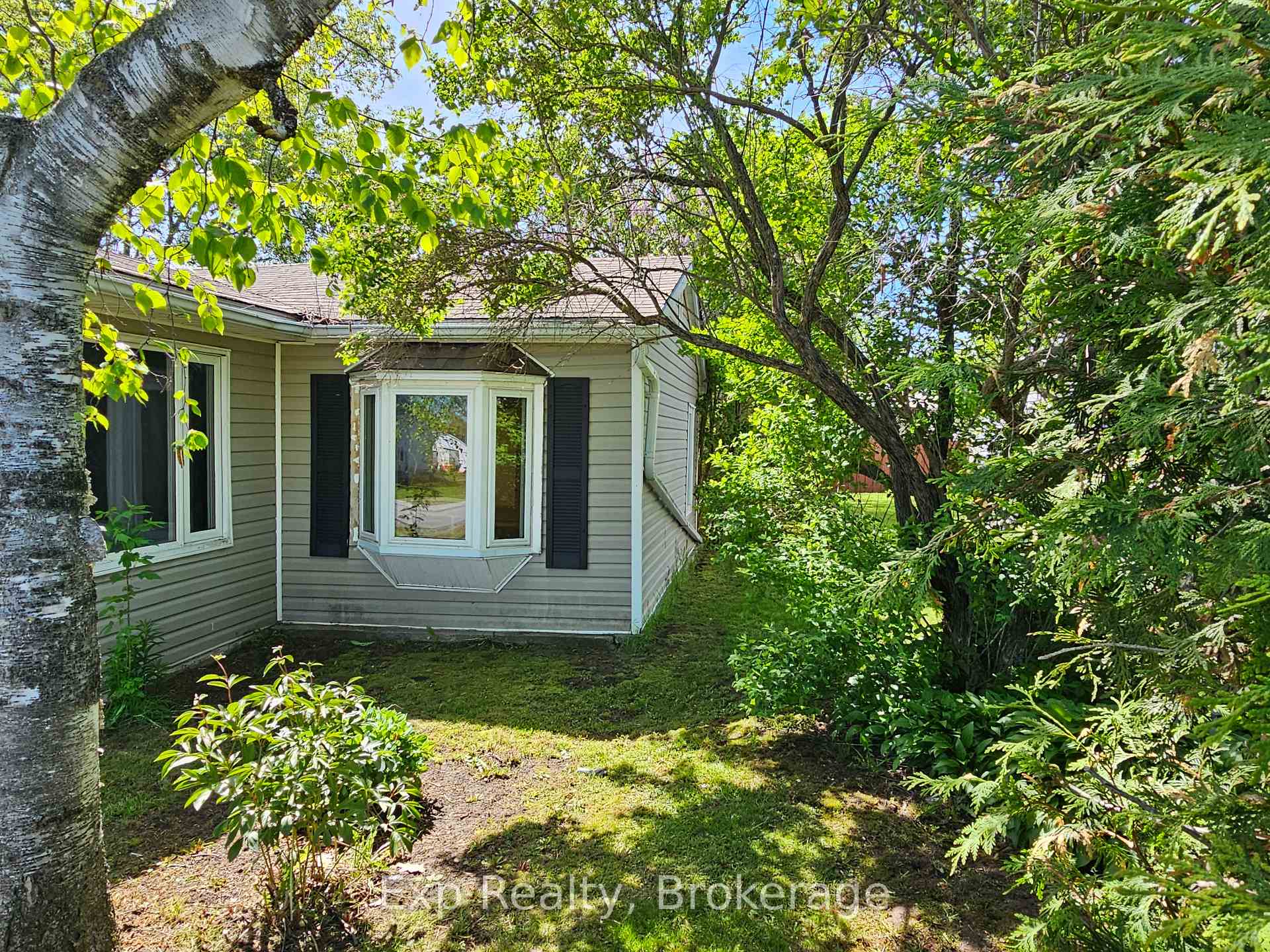 12 William Street, Marmora and Lake — photo 2 of 5