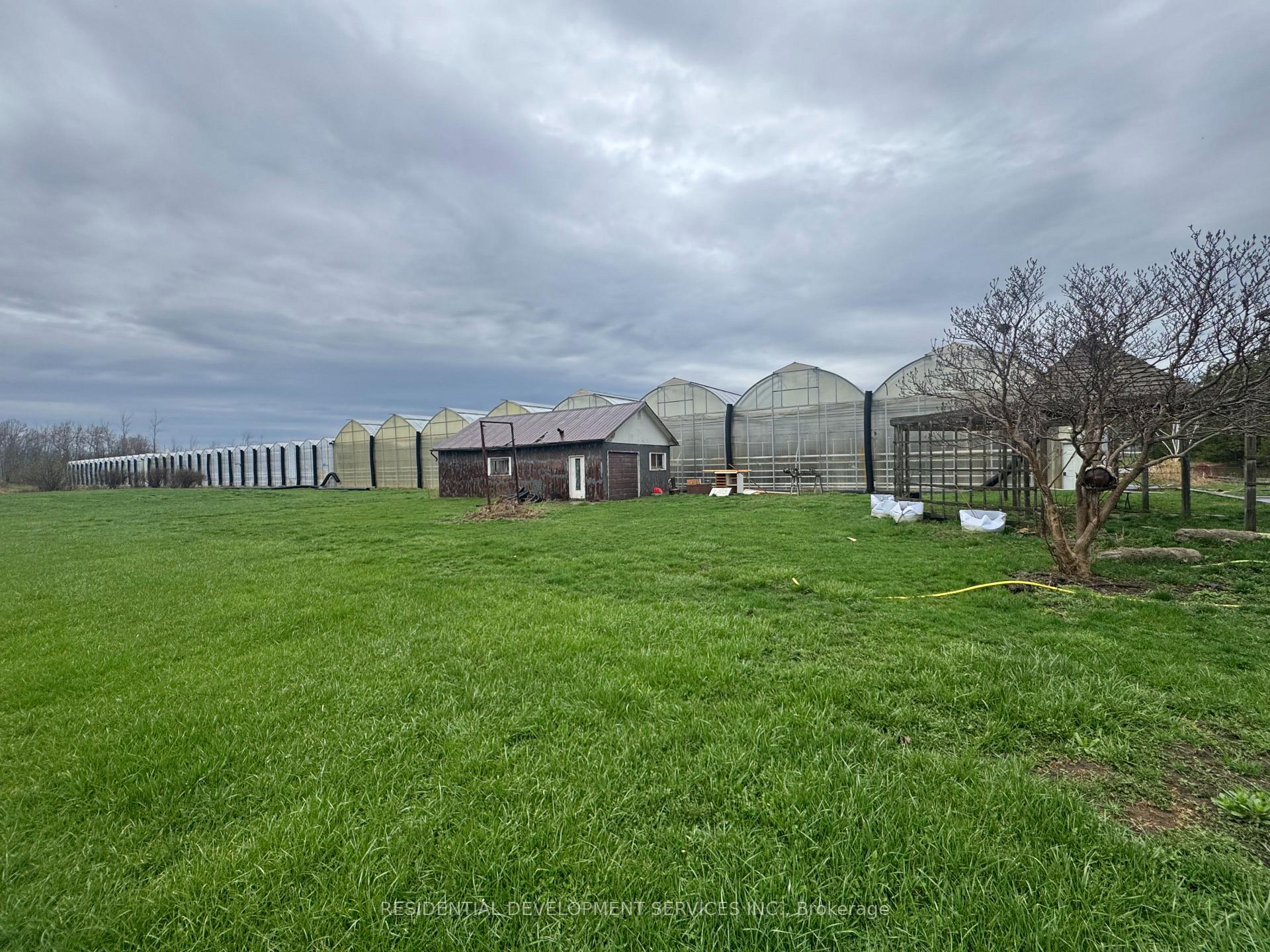 342 Mountain Road, Grimsby — photo 4 of 5