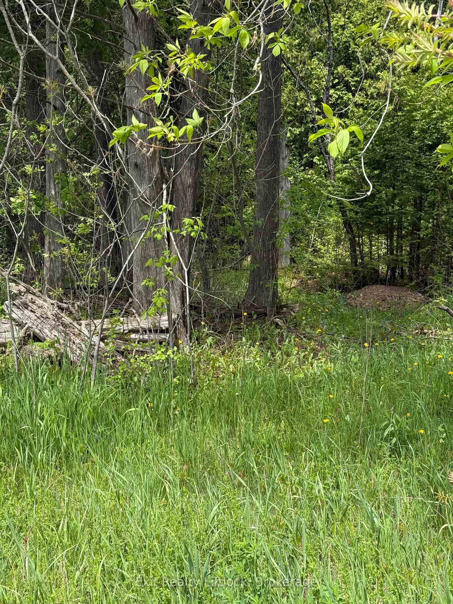 00 Concession Rd 11 E. N/A, Trent Hills, ON K0L 1Y0 — Trent Hills, Ontario