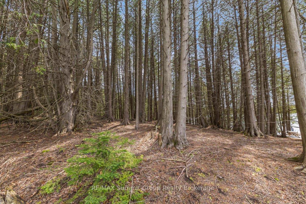 PT LT 2 Lakewood Lane, Grey Highlands — photo 5 of 5