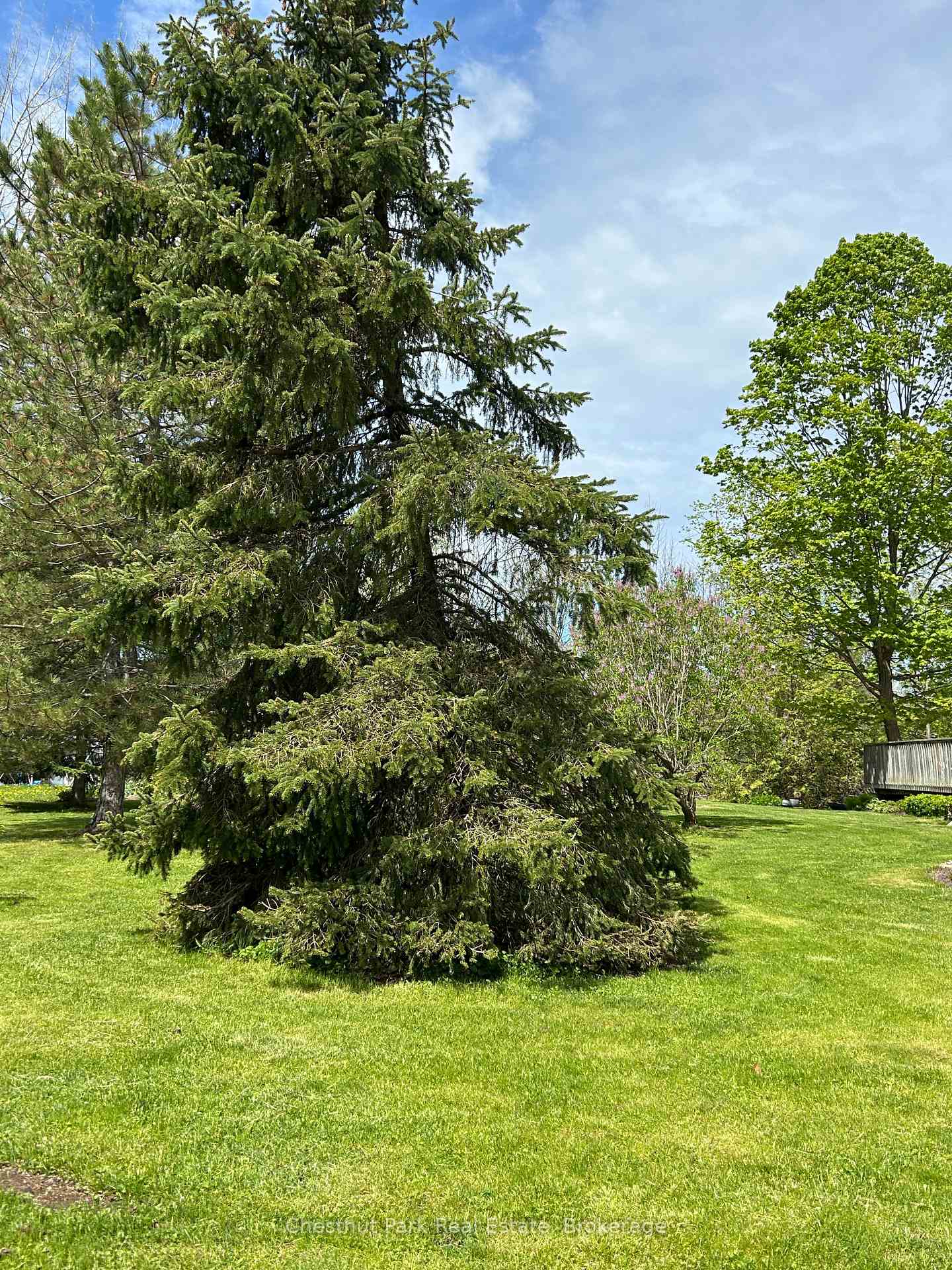 13 Pollard Drive, Meaford, ON N4L 1A7 — Meaford, Ontario