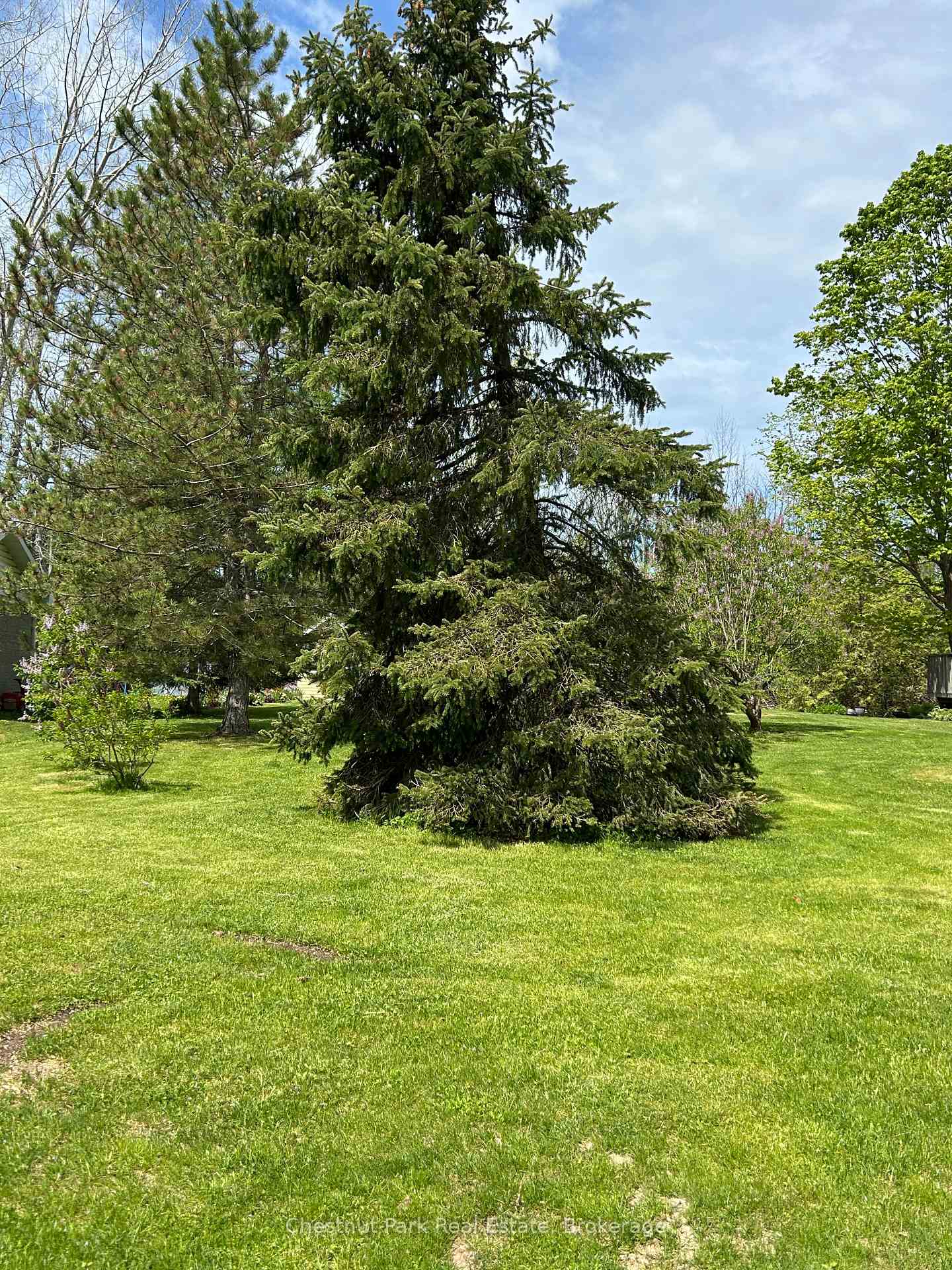 13 Pollard Drive, Meaford — photo 2 of 5