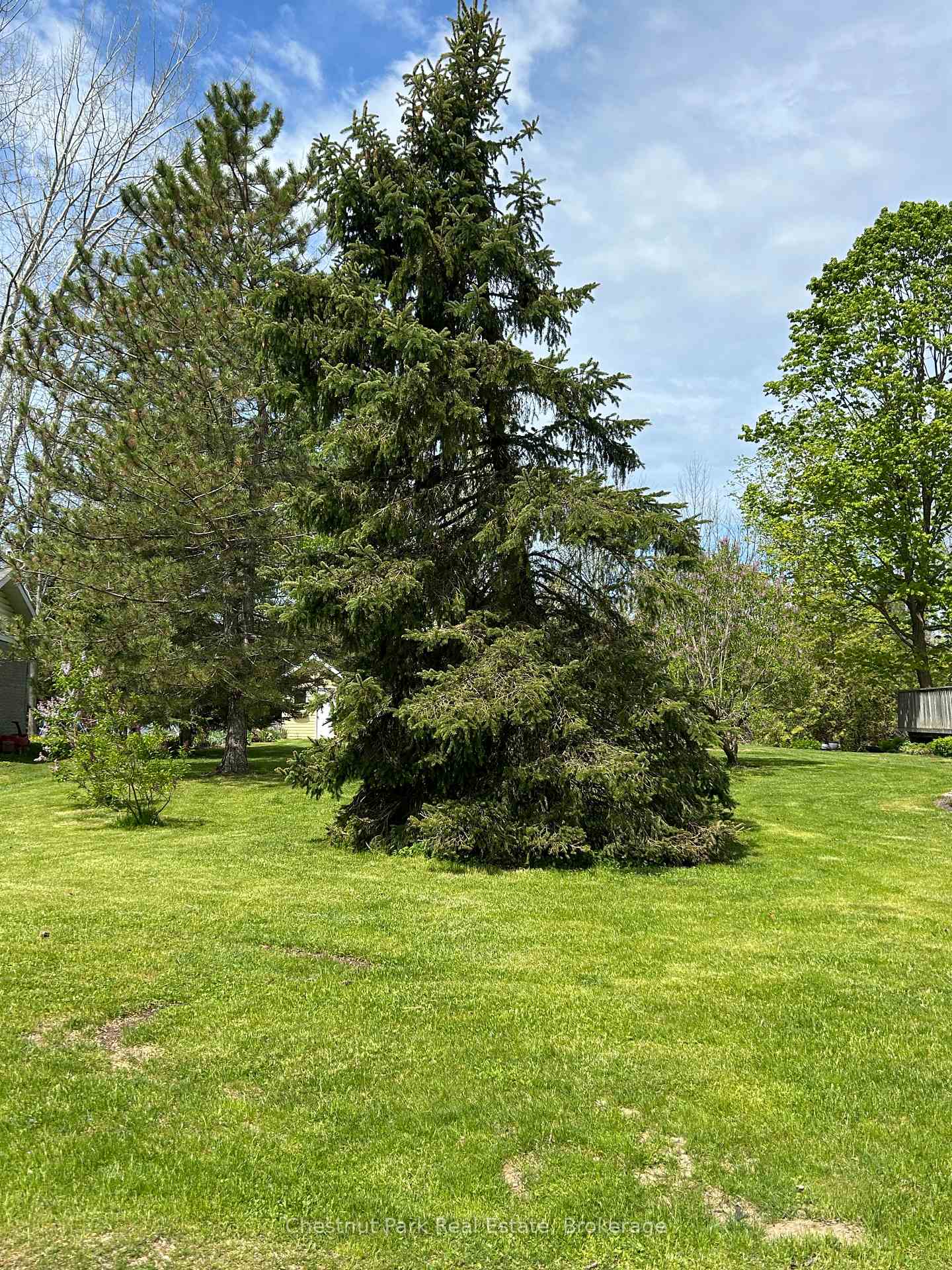 13 Pollard Drive, Meaford — photo 3 of 5