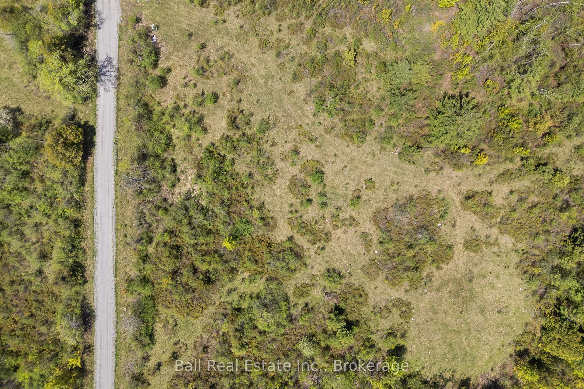 174 Moon Line Road N, Trent Lakes — photo 5 of 5