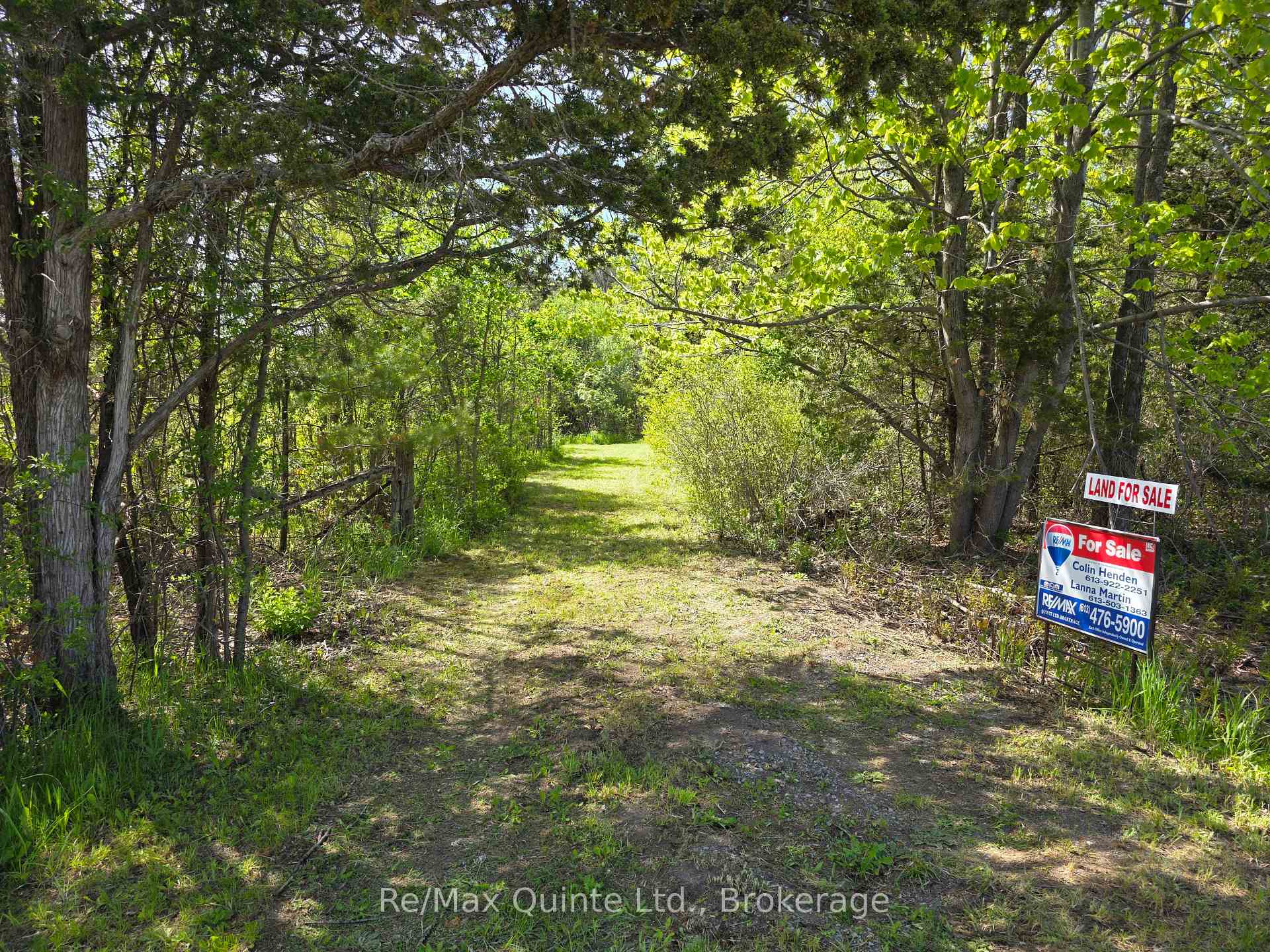 Across From 3904 Cty Rd 49 N/A, Prince Edward County — photo 2 of 5