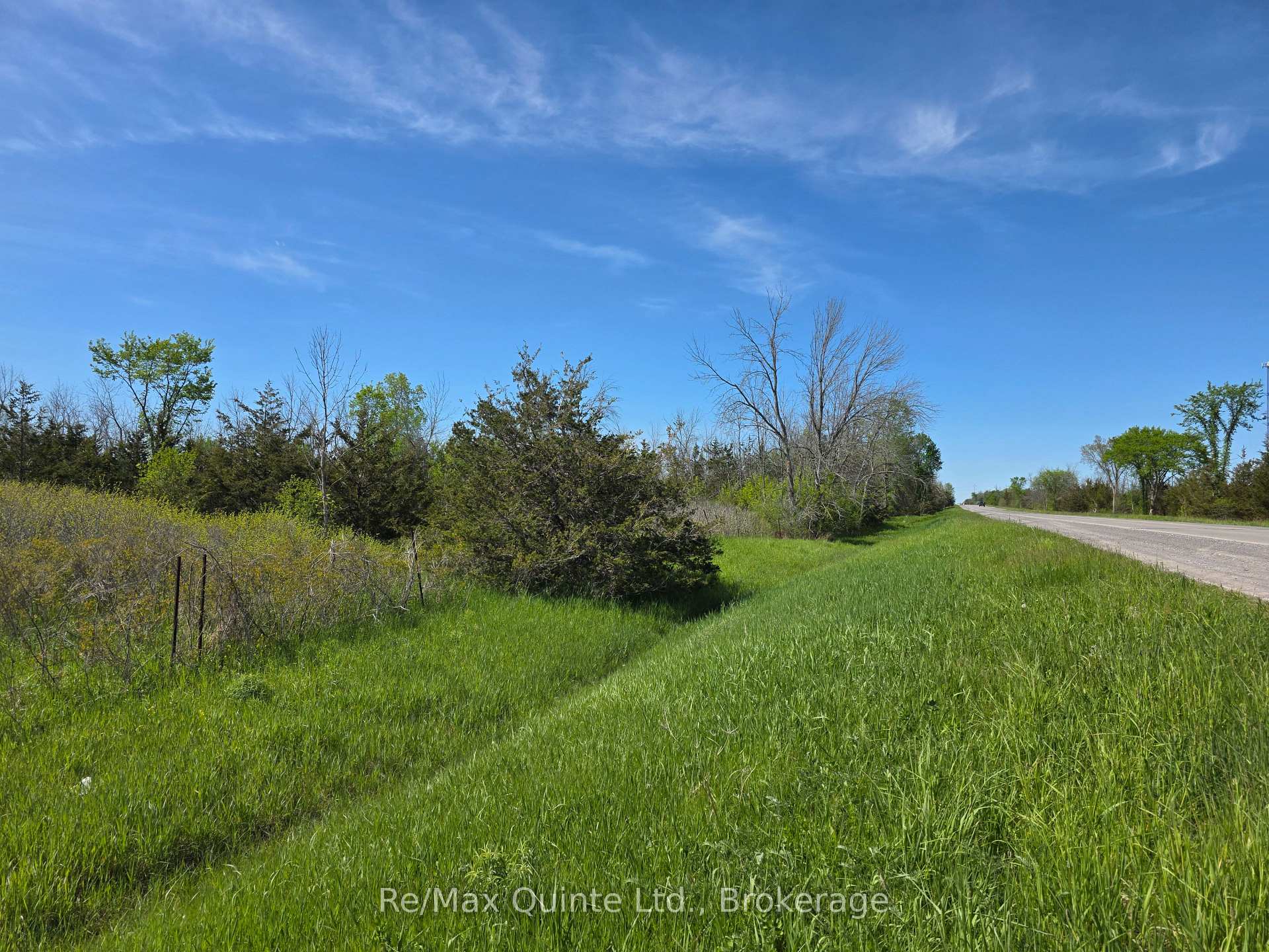 Across From 3904 Cty Rd 49 N/A, Prince Edward County — photo 4 of 5