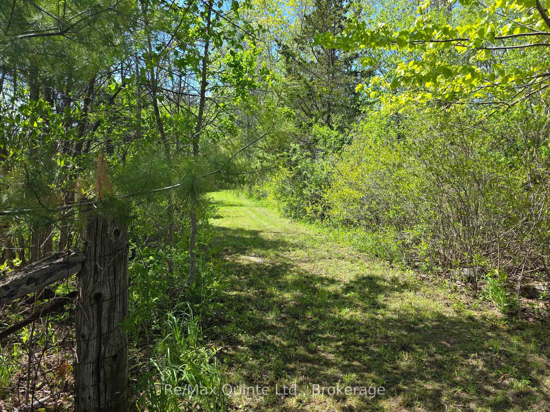 Across From 3904 Cty Rd 49 N/A, Prince Edward County — photo 5 of 5