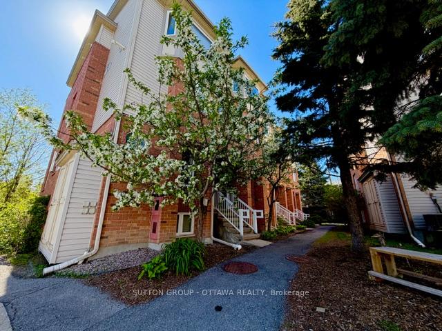 115 Tall Pines Private, South of Baseline to Knoxdale — photo 3 of 5