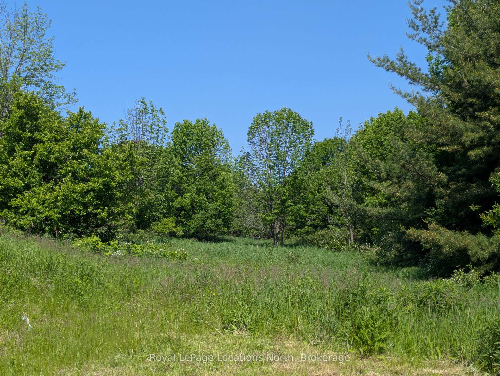 PTLT 19 CON BROKEN FRONT Bayshore Road, Meaford — photo 5 of 5