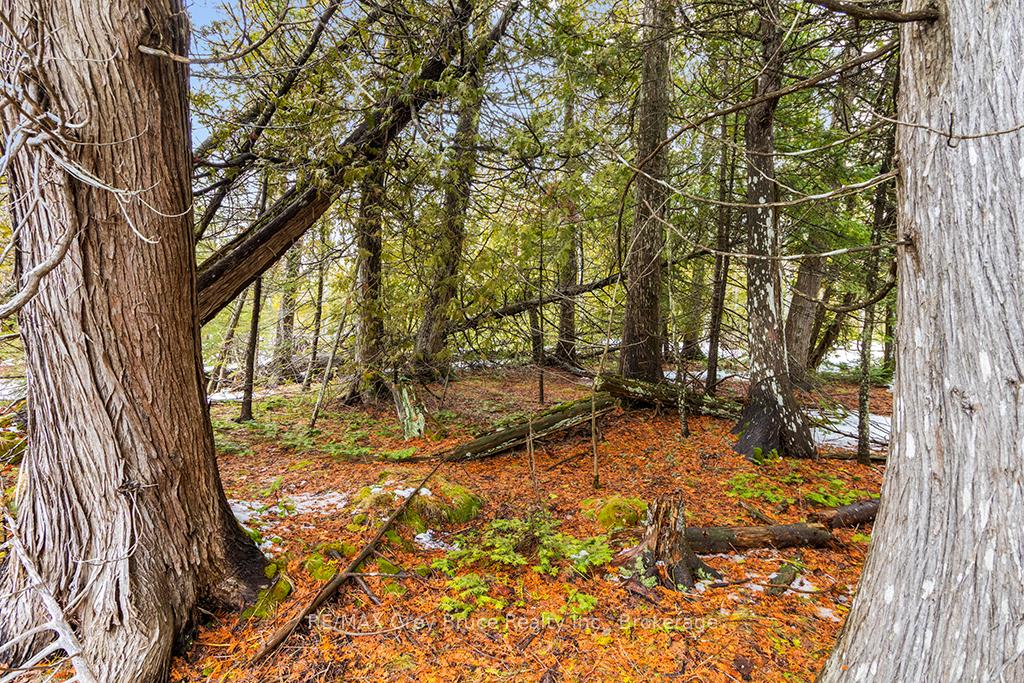 LOT 43 Warner Bay Road, Northern Bruce Peninsula — photo 3 of 5