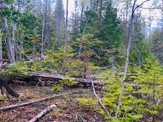 LOT 43 Warner Bay Road, Northern Bruce Peninsula — photo 5 of 5