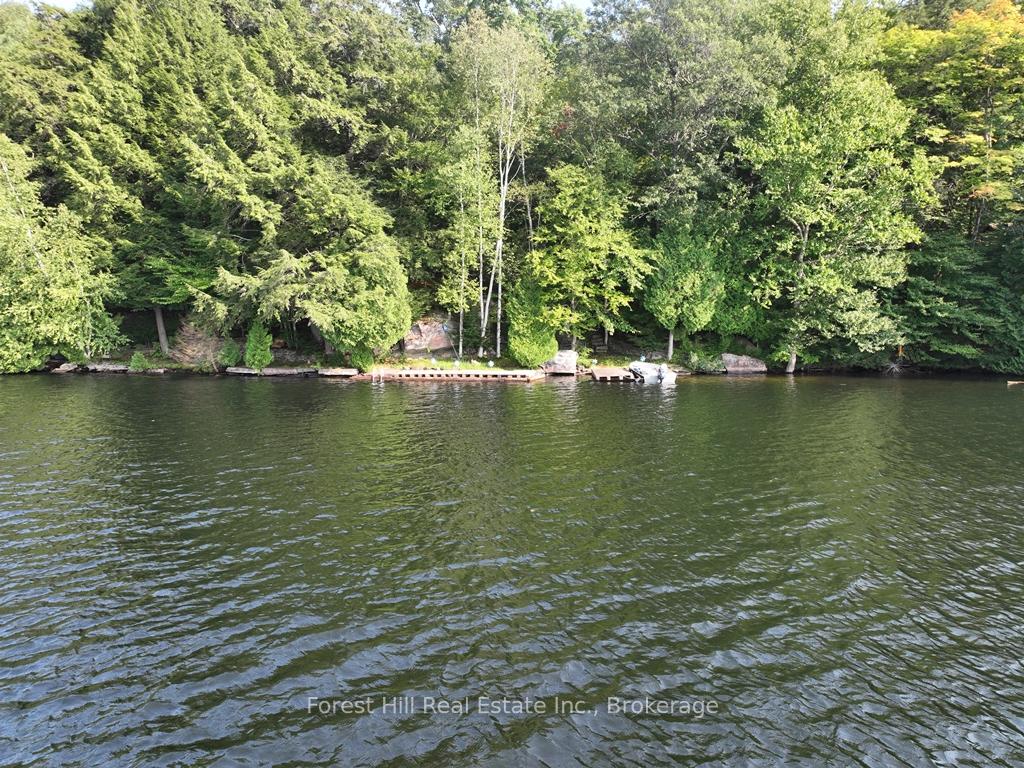 30945 KAWAGAMA Lake WAO N/A, Algonquin Highlands — photo 4 of 5