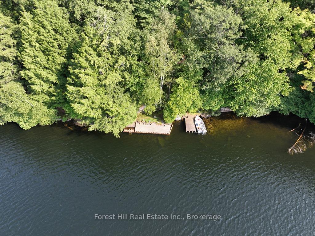 30945 KAWAGAMA Lake WAO N/A, Algonquin Highlands — photo 5 of 5