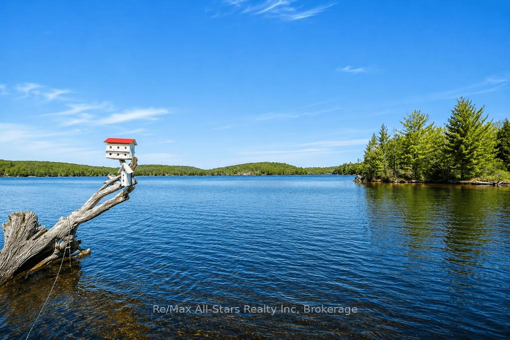 13603 Raven Lake - East Shore N/A, Algonquin Highlands — photo 4 of 5