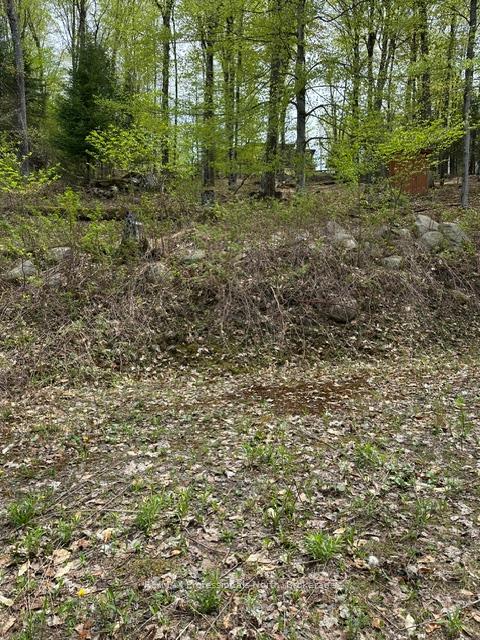 TBD Bushwolf Lake Road, Dysart et al, ON K0M 1S0 — Dysart et al, Ontario