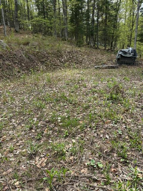 TBD Bushwolf Lake Road, Dysart et al — photo 4 of 5