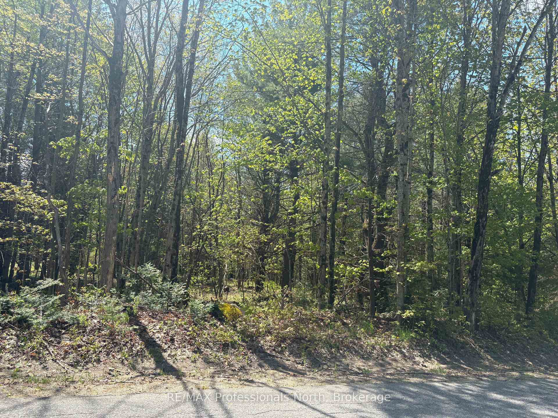 429 Britannia Road, Huntsville, ON P1H 2J3 — Huntsville, Ontario