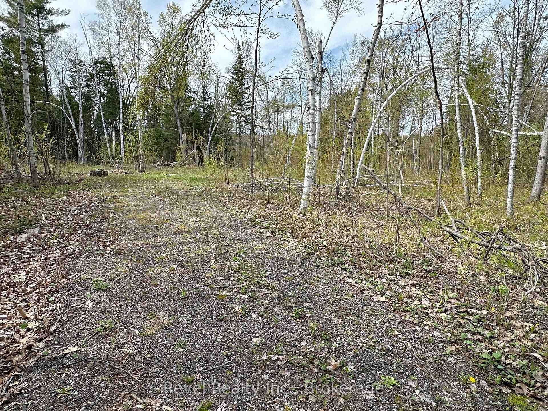 77 McNevan Drive, Kawartha Lakes — photo 3 of 5