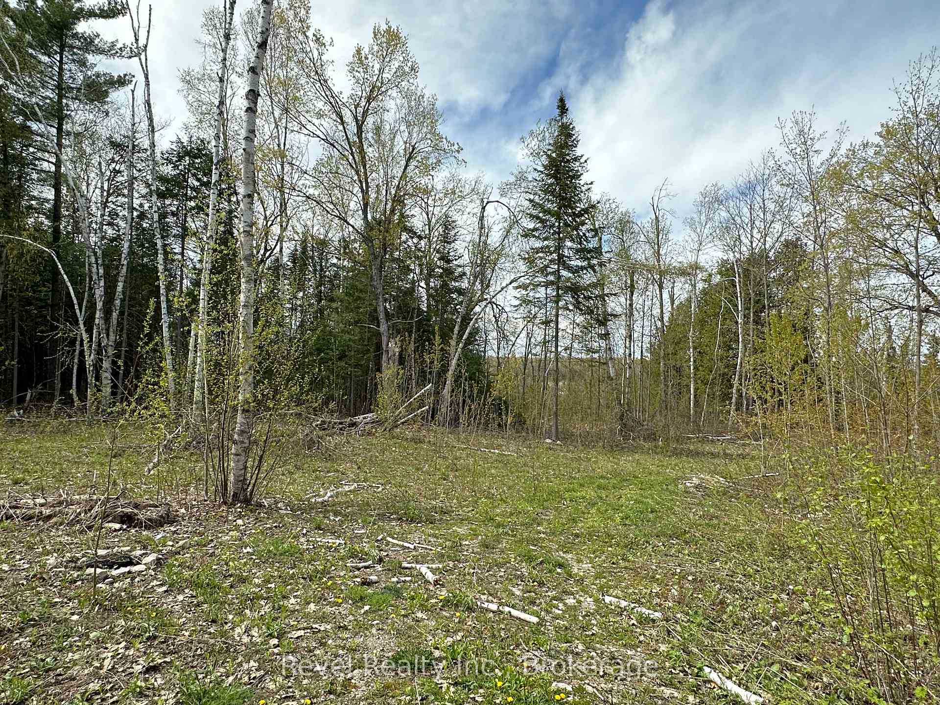 77 McNevan Drive, Kawartha Lakes — photo 4 of 5