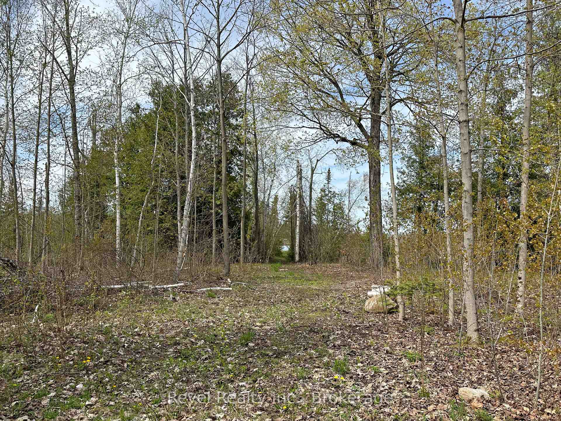 77 McNevan Drive, Kawartha Lakes — photo 5 of 5