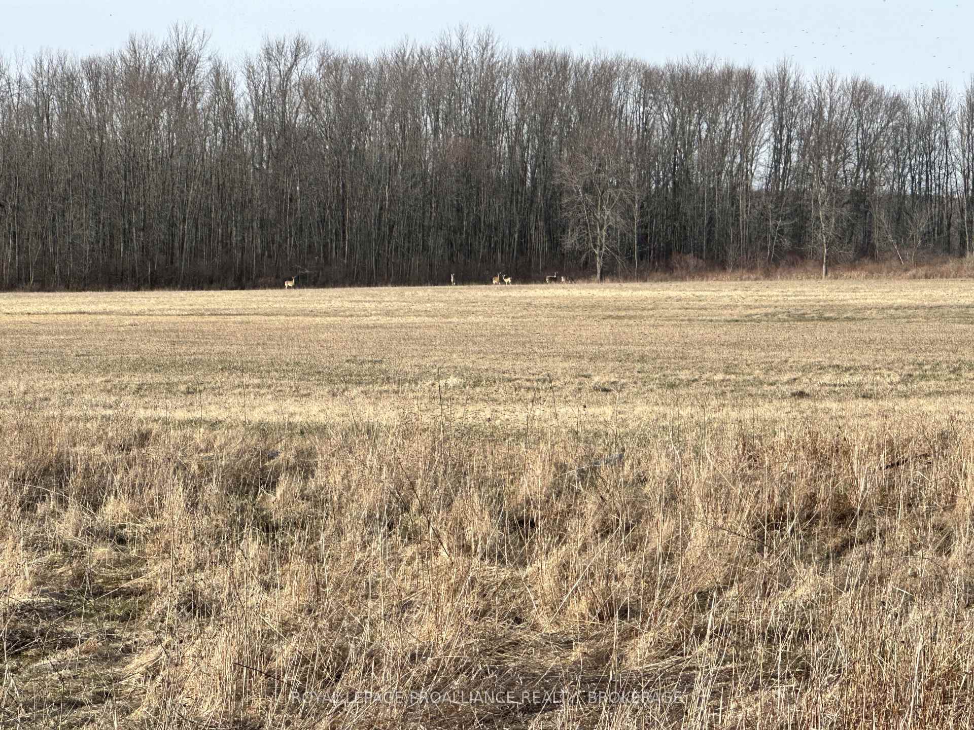 68 3rd Concession Road, Frontenac Islands — photo 2 of 5