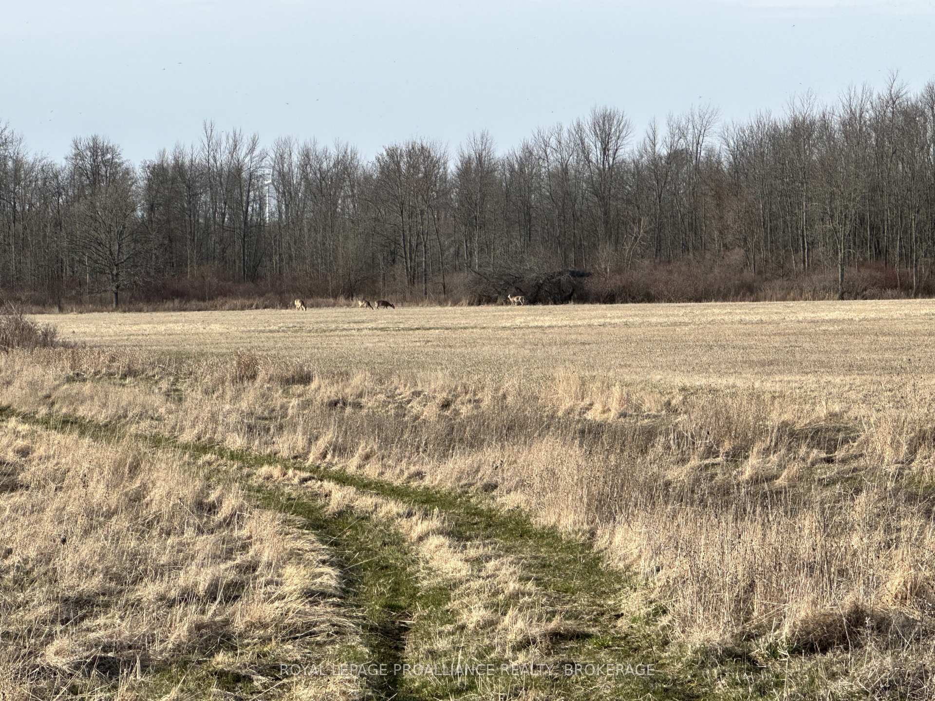 68 3rd Concession Road, Frontenac Islands — photo 3 of 5