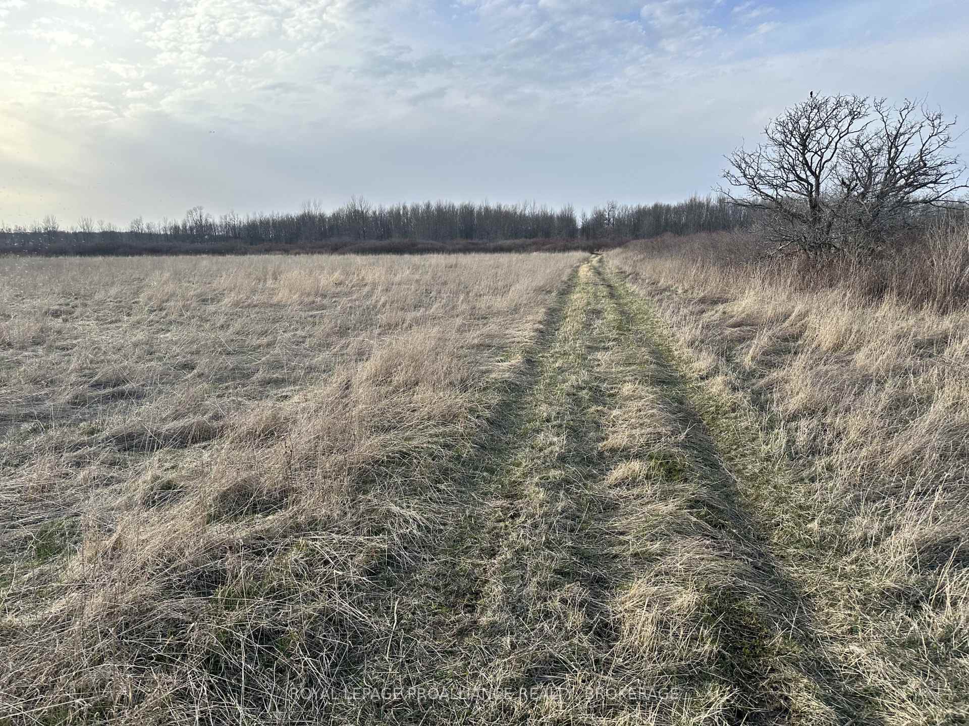 68 3rd Concession Road, Frontenac Islands — photo 5 of 5