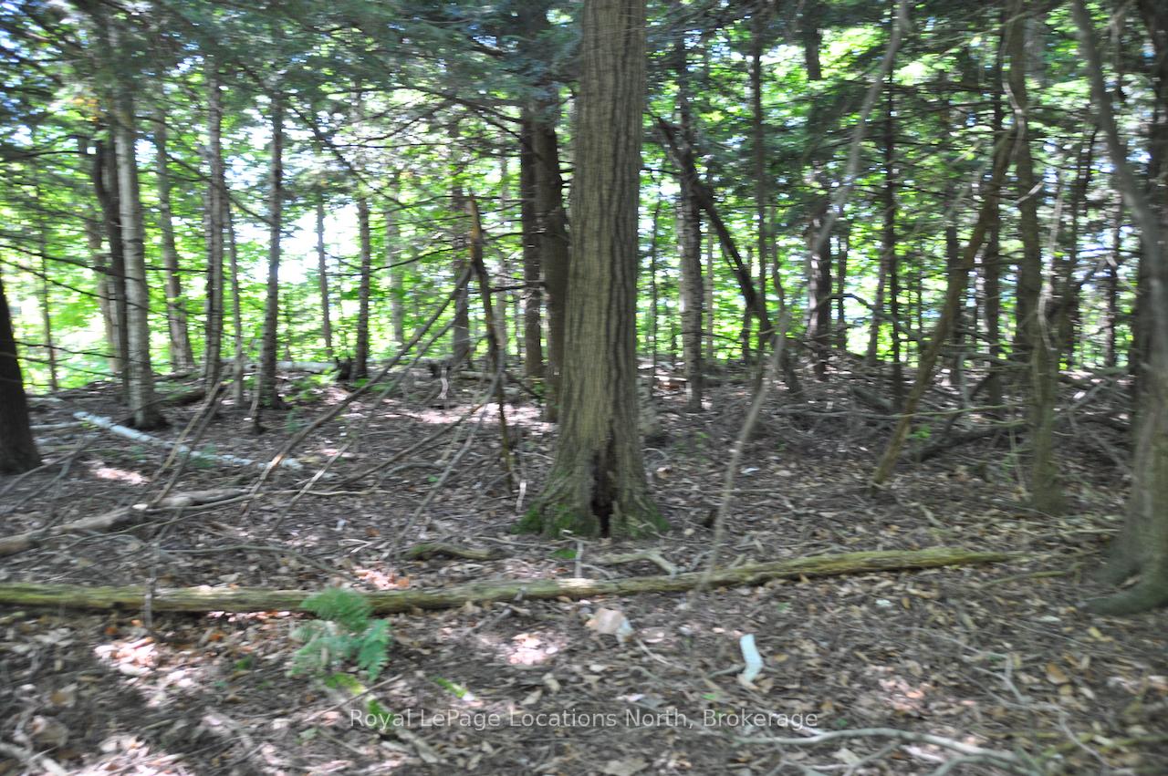 LOT 21 BAYSHORE Road, Meaford — photo 4 of 5