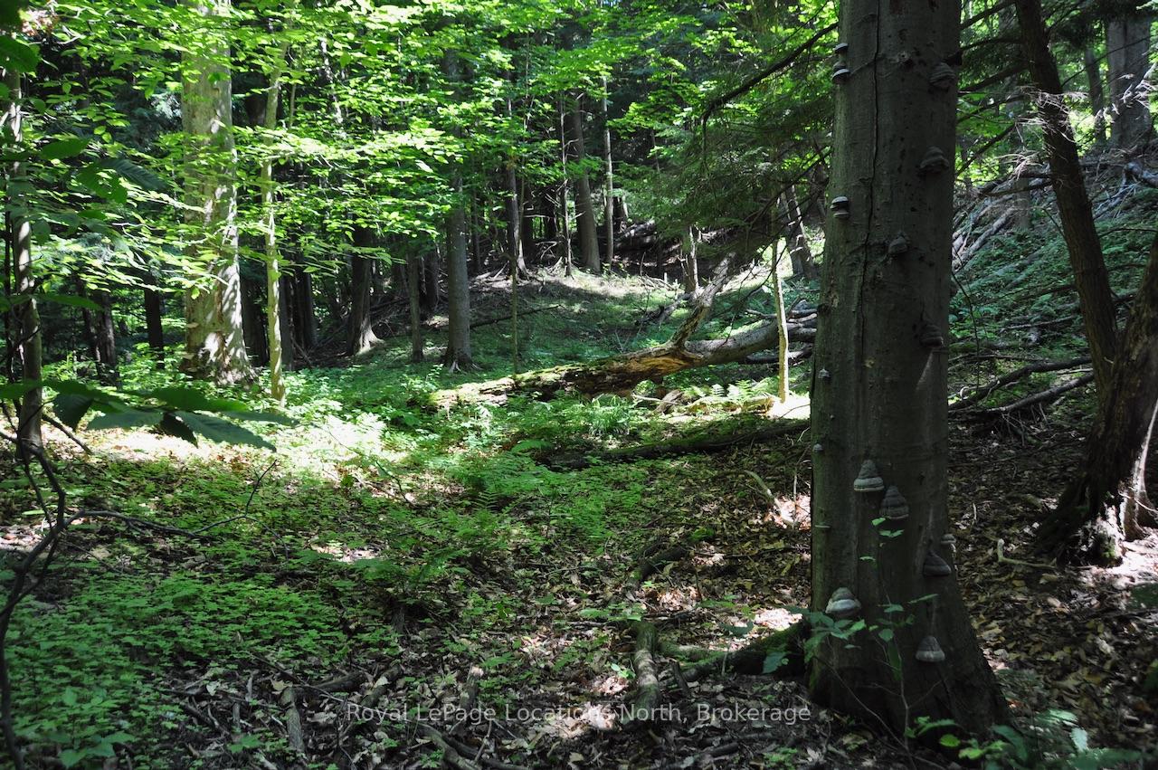 LOT 21 BAYSHORE Road, Meaford — photo 5 of 5