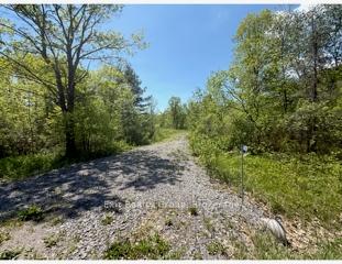 6409 Stirling Marmora Road, Marmora and Lake — photo 2 of 5