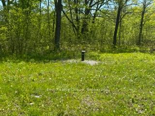 6409 Stirling Marmora Road, Marmora and Lake — photo 5 of 5