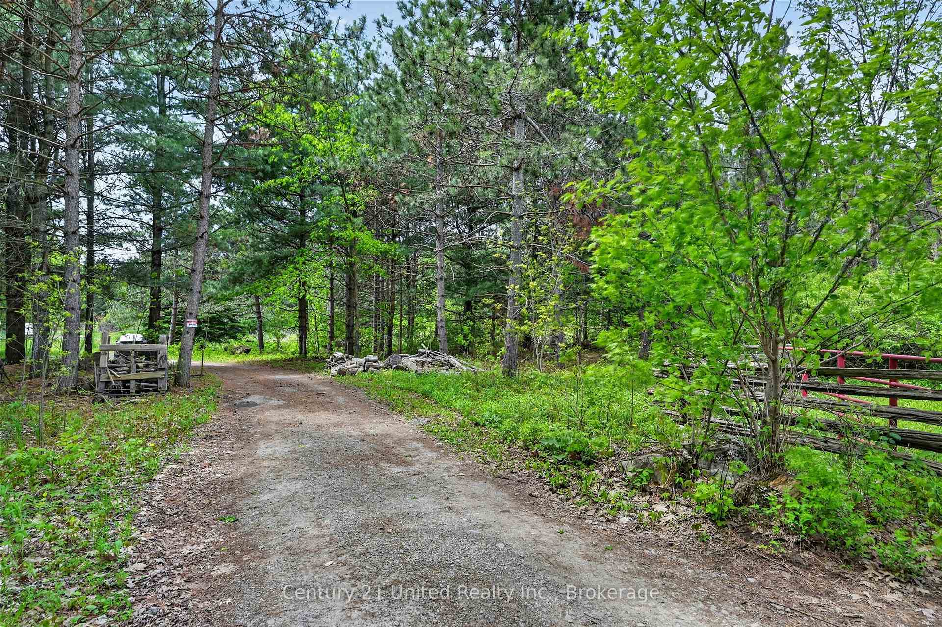 354B Marble Point Road, Marmora and Lake — photo 5 of 5