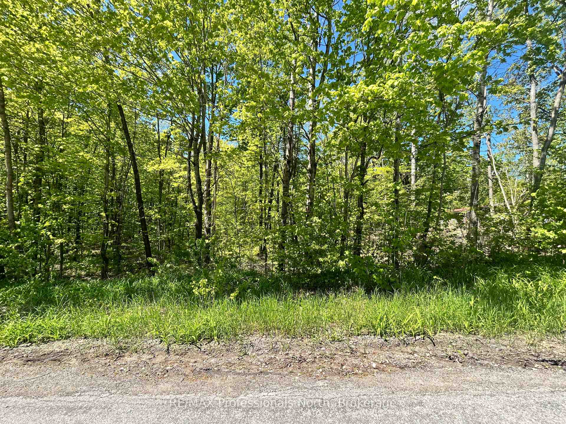 57 O'brien Street, Marmora and Lake, ON K0K 2M0 — Marmora and Lake, Ontario